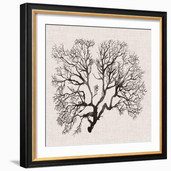 Shadow Sea Fan III-Grace Popp-Framed Art Print