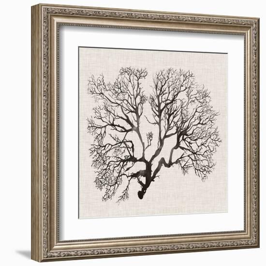 Shadow Sea Fan III-Grace Popp-Framed Art Print