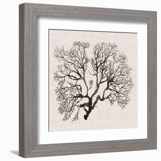 Shadow Sea Fan III-Grace Popp-Framed Art Print