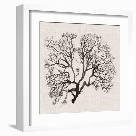 Shadow Sea Fan III-Grace Popp-Framed Art Print