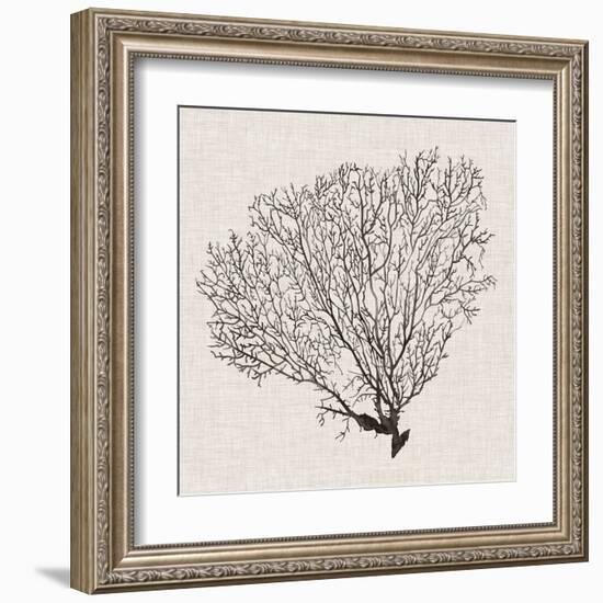 Shadow Sea Fan IV-Grace Popp-Framed Art Print