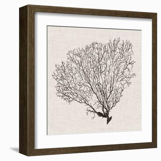 Shadow Sea Fan IV-Grace Popp-Framed Art Print