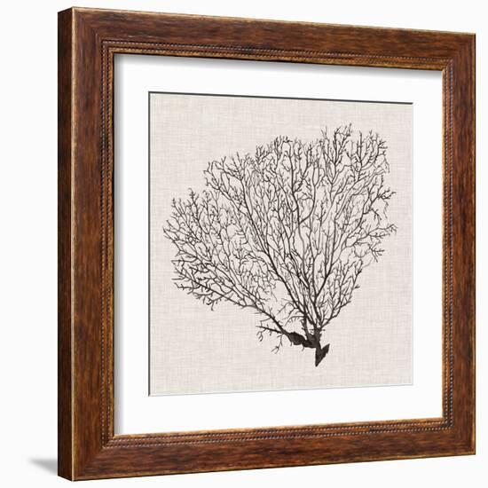 Shadow Sea Fan IV-Grace Popp-Framed Art Print