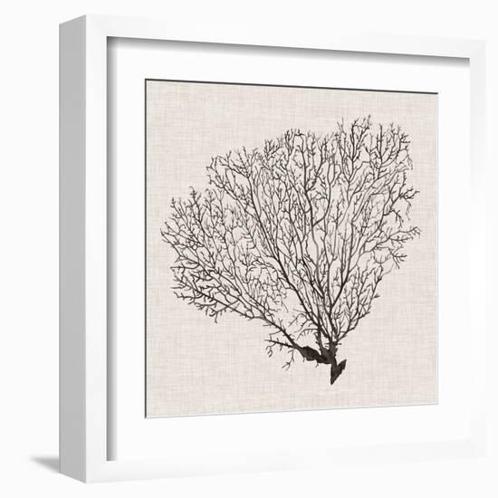 Shadow Sea Fan IV-Grace Popp-Framed Art Print