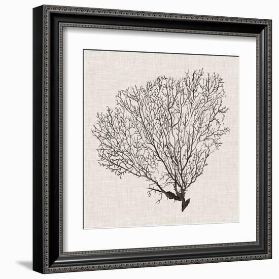 Shadow Sea Fan IV-Grace Popp-Framed Art Print