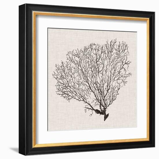 Shadow Sea Fan IV-Grace Popp-Framed Art Print