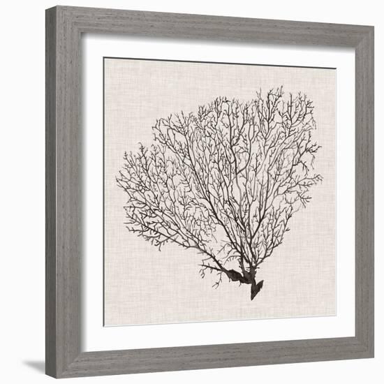 Shadow Sea Fan IV-Grace Popp-Framed Art Print