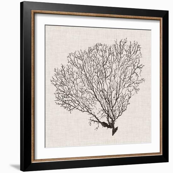 Shadow Sea Fan IV-Grace Popp-Framed Art Print