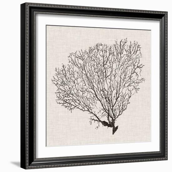 Shadow Sea Fan IV-Grace Popp-Framed Art Print