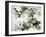 Shadow Sketch II-Kari Taylor-Framed Giclee Print