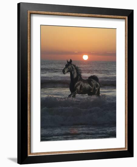 Shadow Walker-Bob Langrish-Framed Photographic Print