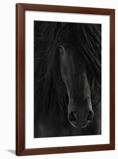 Shadow-null-Framed Art Print