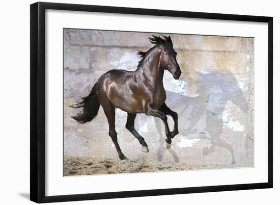 Shadow-Susan Friedman-Framed Giclee Print