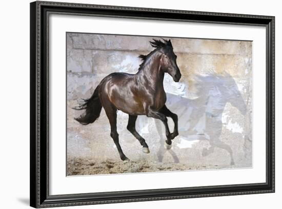 Shadow-Susan Friedman-Framed Giclee Print