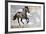 Shadow-Susan Friedman-Framed Giclee Print