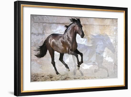 Shadow-Susan Friedman-Framed Giclee Print