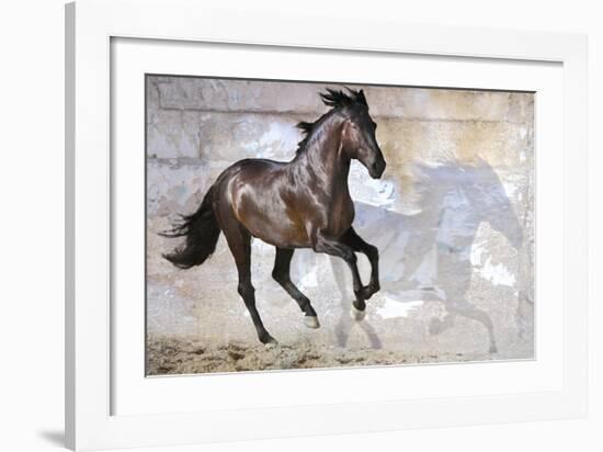 Shadow-Susan Friedman-Framed Giclee Print