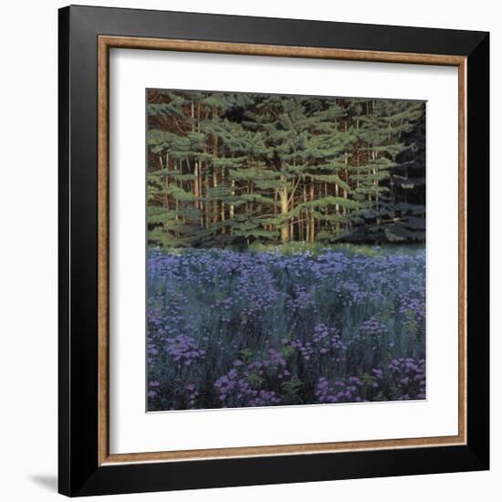 Shadowed Meadow Sunlit Pines-Jon R^ Friedman-Framed Giclee Print