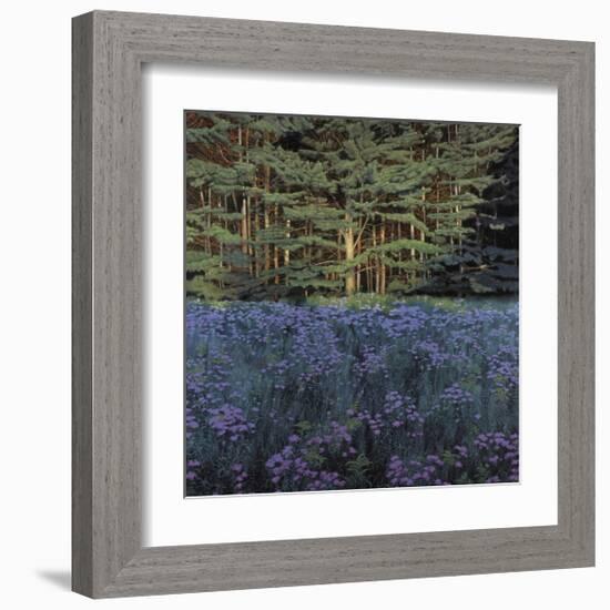 Shadowed Meadow Sunlit Pines-Jon R^ Friedman-Framed Giclee Print