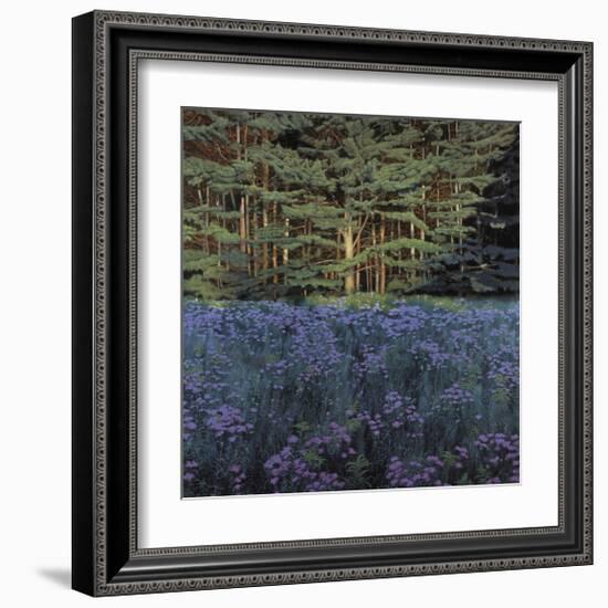 Shadowed Meadow Sunlit Pines-Jon R^ Friedman-Framed Giclee Print