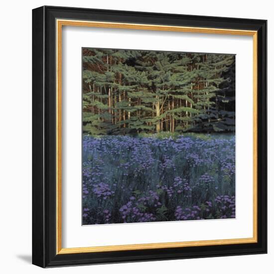 Shadowed Meadow Sunlit Pines-Jon R^ Friedman-Framed Giclee Print