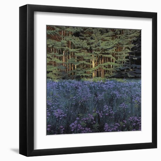 Shadowed Meadow Sunlit Pines-Jon R^ Friedman-Framed Giclee Print