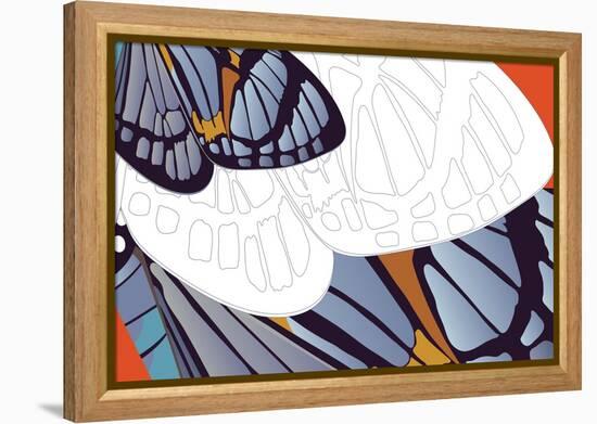 Shadowed Wing of Iris-Belen Mena-Framed Premier Image Canvas