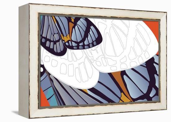 Shadowed Wing of Iris-Belen Mena-Framed Premier Image Canvas