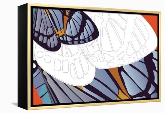 Shadowed Wing of Iris-Belen Mena-Framed Premier Image Canvas