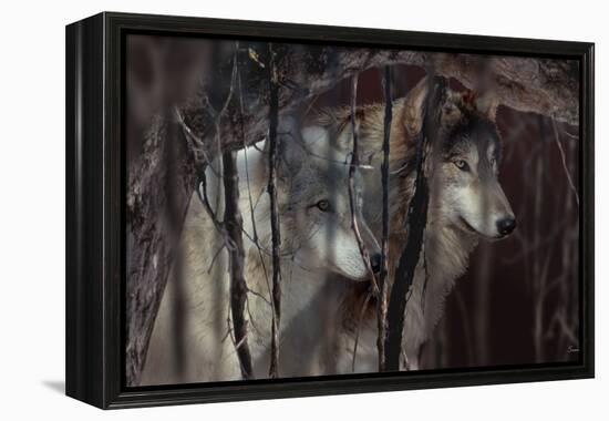 Shadowers-Gordon Semmens-Framed Premier Image Canvas