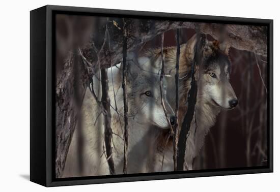 Shadowers-Gordon Semmens-Framed Premier Image Canvas