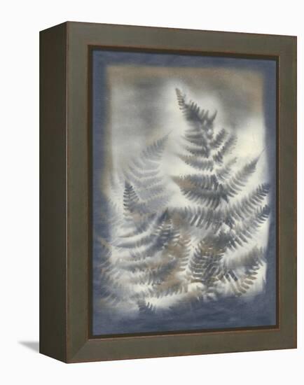 Shadows and Ferns V-Renee W. Stramel-Framed Stretched Canvas