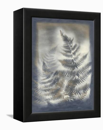 Shadows and Ferns V-Renee W. Stramel-Framed Stretched Canvas