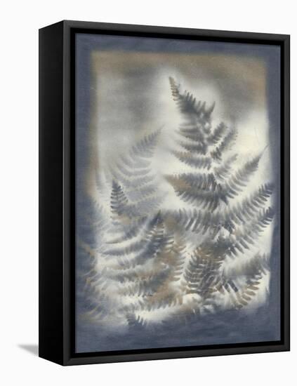 Shadows and Ferns V-Renee W. Stramel-Framed Stretched Canvas