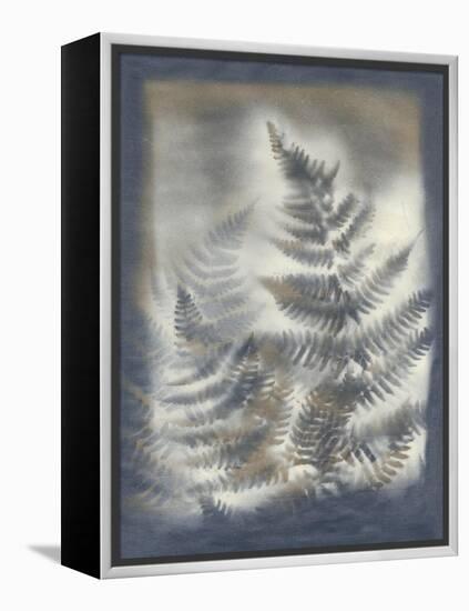 Shadows and Ferns V-Renee W. Stramel-Framed Stretched Canvas