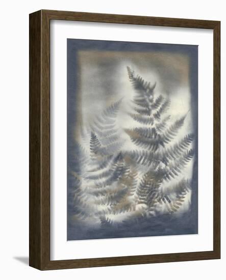 Shadows and Ferns V-Renee W. Stramel-Framed Art Print