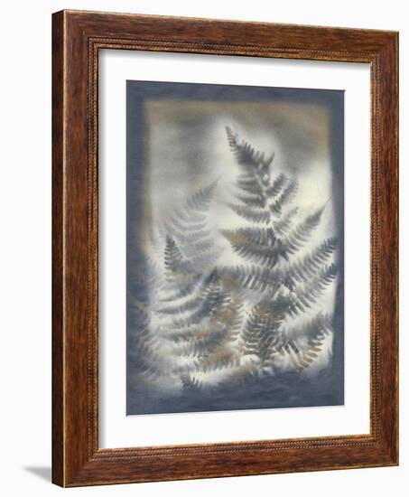 Shadows and Ferns V-Renee W. Stramel-Framed Art Print