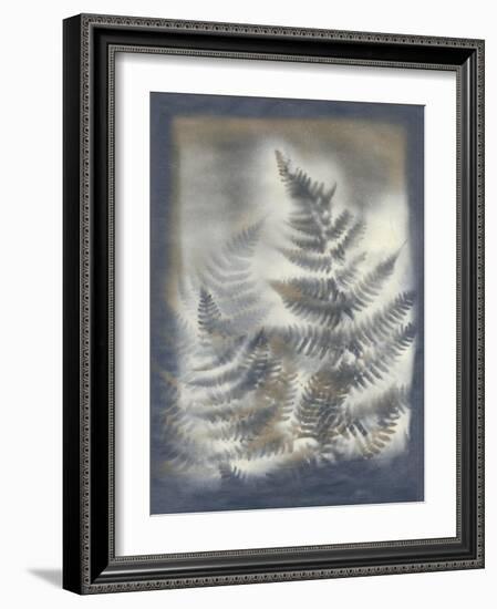 Shadows and Ferns V-Renee W. Stramel-Framed Art Print