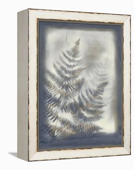 Shadows and Ferns VI-Renee W. Stramel-Framed Stretched Canvas