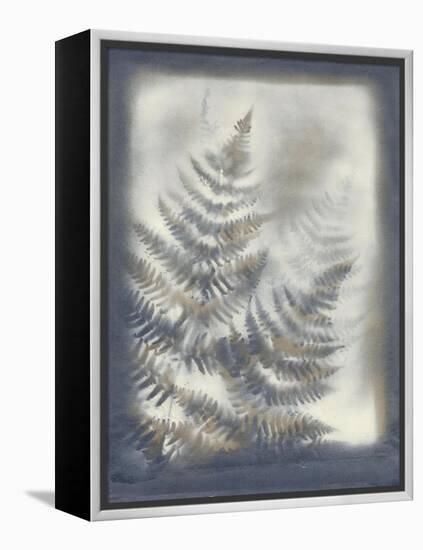 Shadows and Ferns VI-Renee W. Stramel-Framed Stretched Canvas