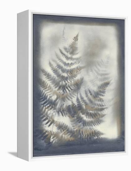 Shadows and Ferns VI-Renee W. Stramel-Framed Stretched Canvas