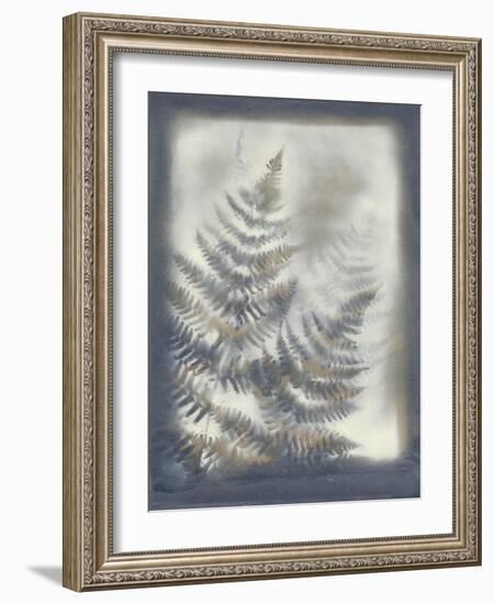 Shadows and Ferns VI-Renee W. Stramel-Framed Art Print