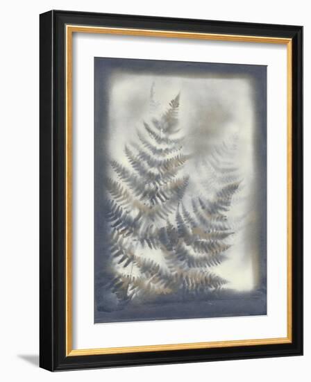 Shadows and Ferns VI-Renee W. Stramel-Framed Art Print