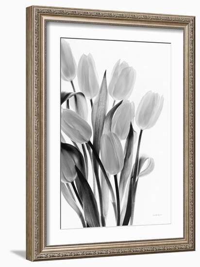 Shadows and Light II-Elizabeth Urquhart-Framed Photo