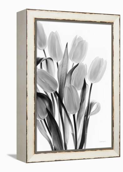 Shadows and Light II-Elizabeth Urquhart-Framed Stretched Canvas