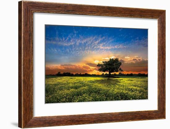 Shadows at Sunset-Celebrate Life Gallery-Framed Giclee Print