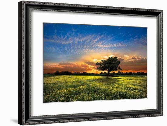 Shadows at Sunset-Celebrate Life Gallery-Framed Giclee Print