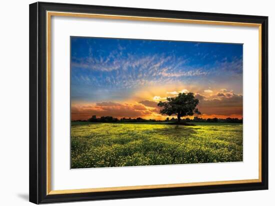 Shadows at Sunset-Celebrate Life Gallery-Framed Giclee Print