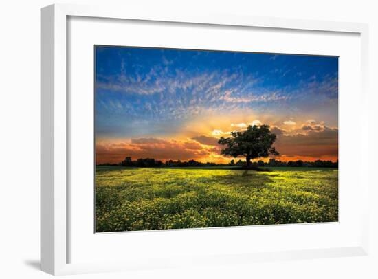 Shadows at Sunset-Celebrate Life Gallery-Framed Giclee Print