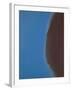 Shadows II, 1979 (blue)-Andy Warhol-Framed Art Print